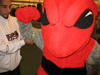 Sammy Bee